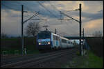 BB 26148 Sybic kommt mit dem TER 31394 Colmar - Strasbourg am 01.04.2024 kurz nach Sonnenuntergang bei Ostheim (Oschta) im Elsass mit 200 km/h unter der Straßenbrücke hervor.