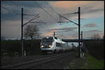 TGV 2204 Montpellier Saint-Roch - Strasbourg & TGV 5500 Montpellier Saint-Roch - Metz Ville kommen am 01.04.2024 kurz nach Sonnenuntergang bei Ostheim (Oschta) im Elsass mit 220 km/h unter der