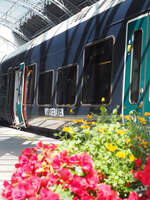 Etwas durch die Blume fotographiert wurde ein Flirt auf der Linie R40 nach Myrdal im Bahnhof Bergen.