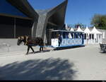 Knies Kinderzoo in Rapperswil mit dem Einzigen, Regelmässigen verkehrenden Pferdetram, Verkehrt nur währen der Öffnungszeiten des Zoo, unterwegs im Areal des Kinderzoo in Rapperswil/SG