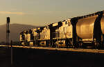 Abschluss meiner Bilderserie vom Tehachapi-Pass: Gemischter Güterzug fährt in Tehachapi westwärts Richtung Bakersfield in den Sonnenuntergang.