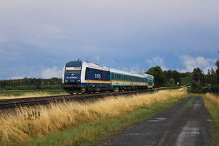 Alex 223 081 zieht einen RE2 von aus München kommend nach Hof Hbf, hier bei Wiesau in der Oberpfalz.