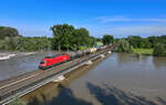 1016 010 mit einem Gterzug am 04.06.2024 bei Plattling.