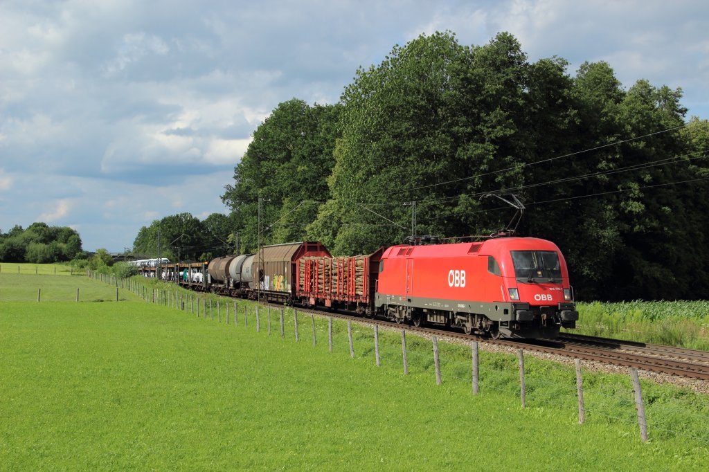 1016 006-7 mit einem gemischten Gterzug in Grokarolinenfeld am 17.07.2012