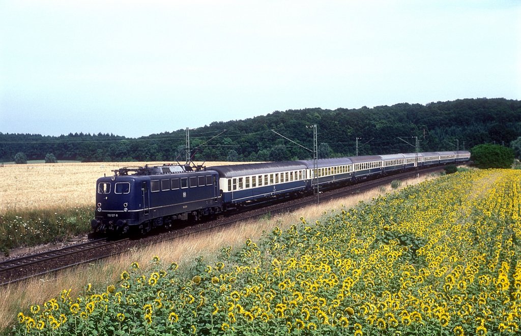 110 127  bei Vaihingen ( Enz ) Nord  21.07.89