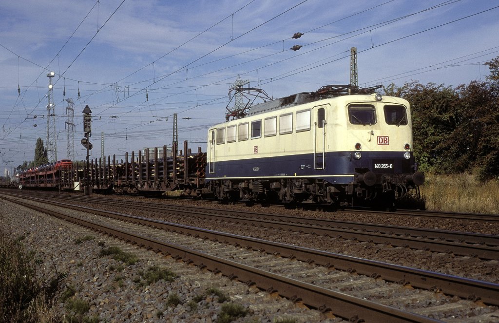 140 265  bei Lehrte  07.09.95