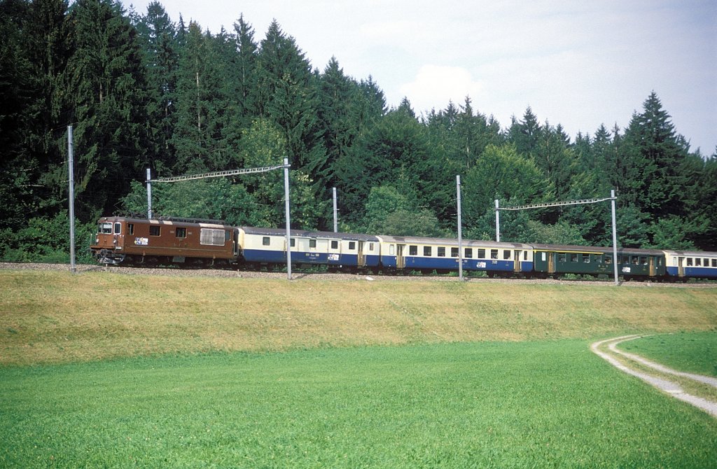     169  bei  Frutigen  19.08.88