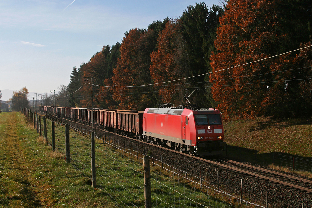 185 009 mit einem Gterzug am 03.11.2010 bei Fching.