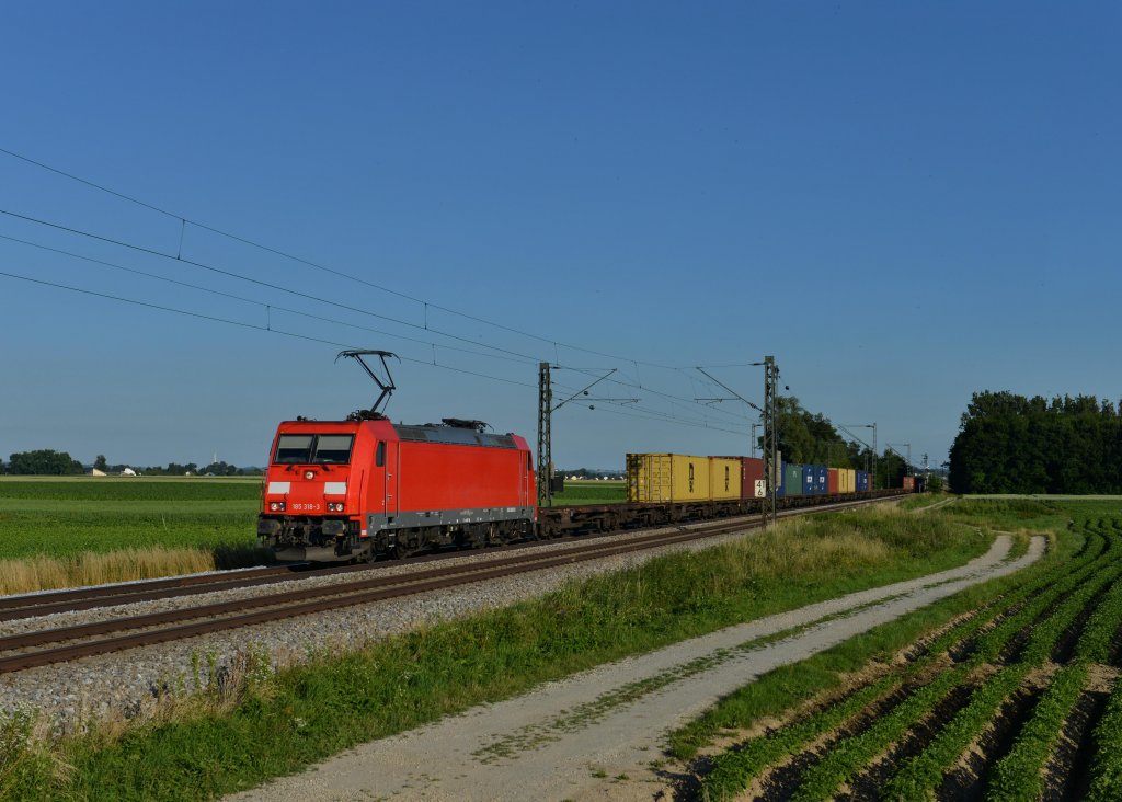 185 318 mit einem Containerzug am 01.07.2013 bei Langenisarhofen.
