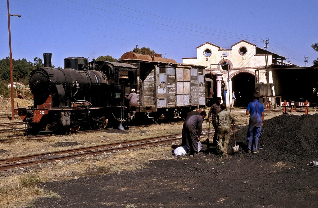 202 002  Asmara  31.01.12