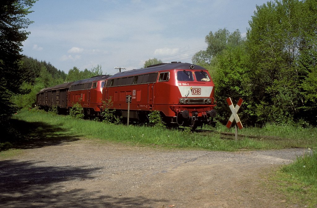 216 194 + 216 197  bei Elz  16.05.95