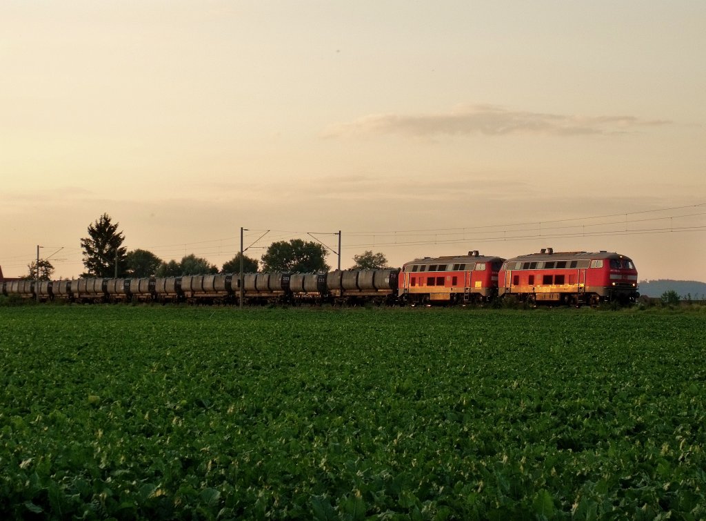 217 019 und eine Schwestermaschiene bespannten am 09.08.2010 den Kohlezug gen Landshut. (KBS 930, Kfering)