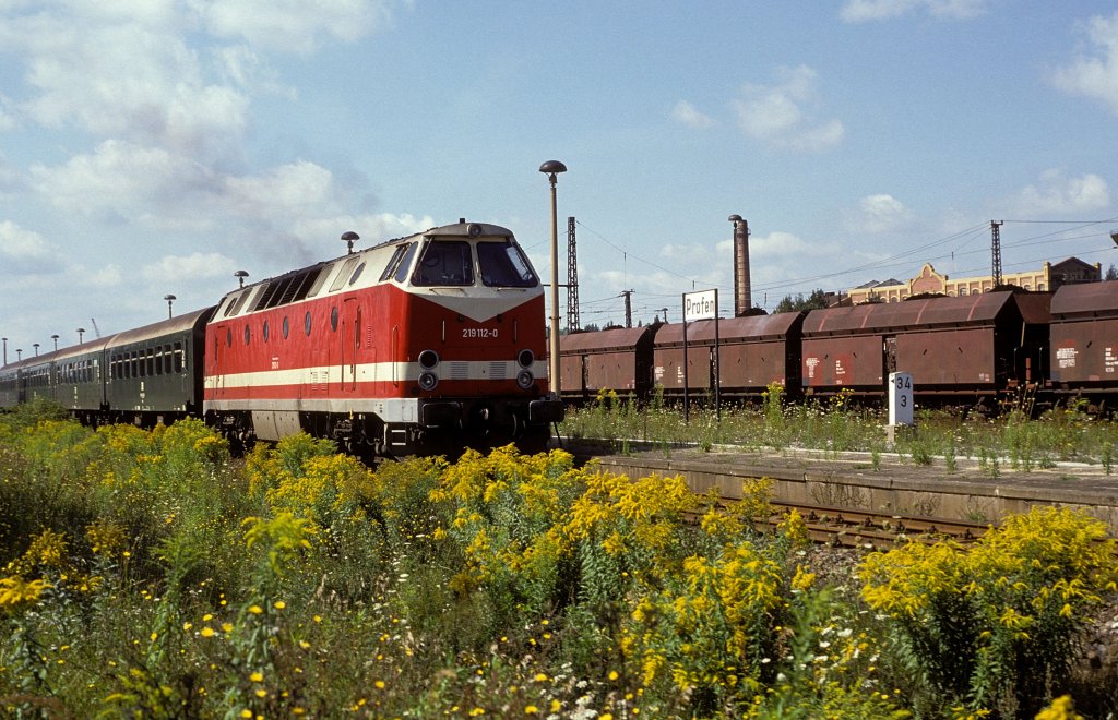 219 112  Profen  11.08.93