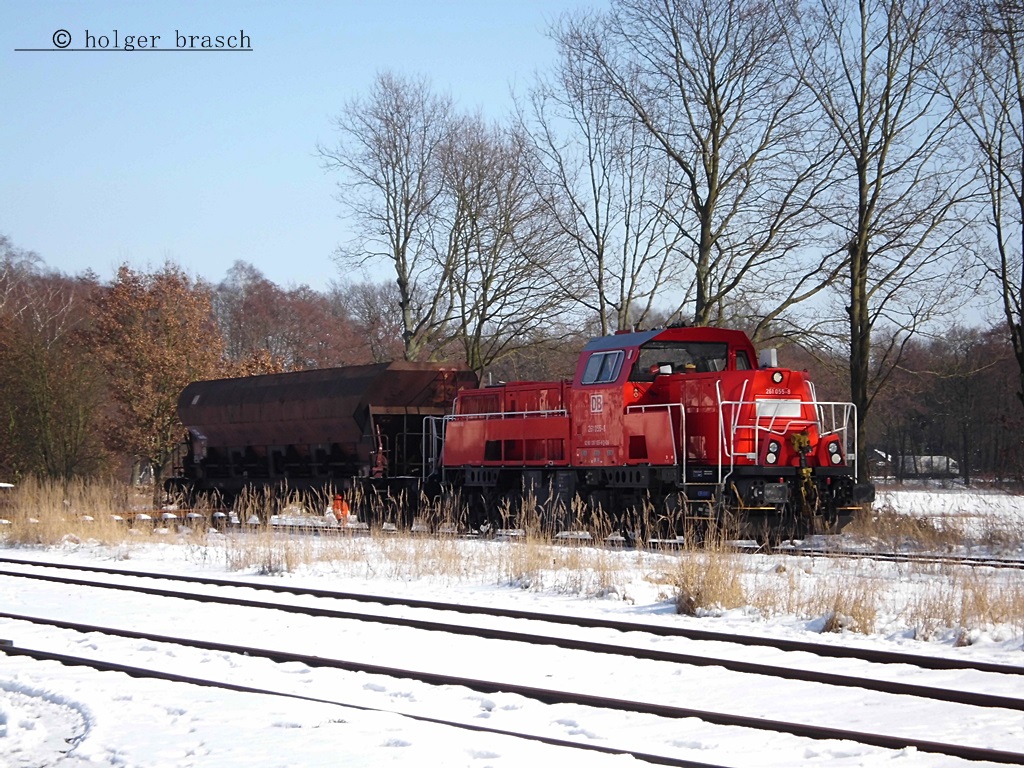 261 055 kam  mit einen facs zum bhf glinde am 15.03.13