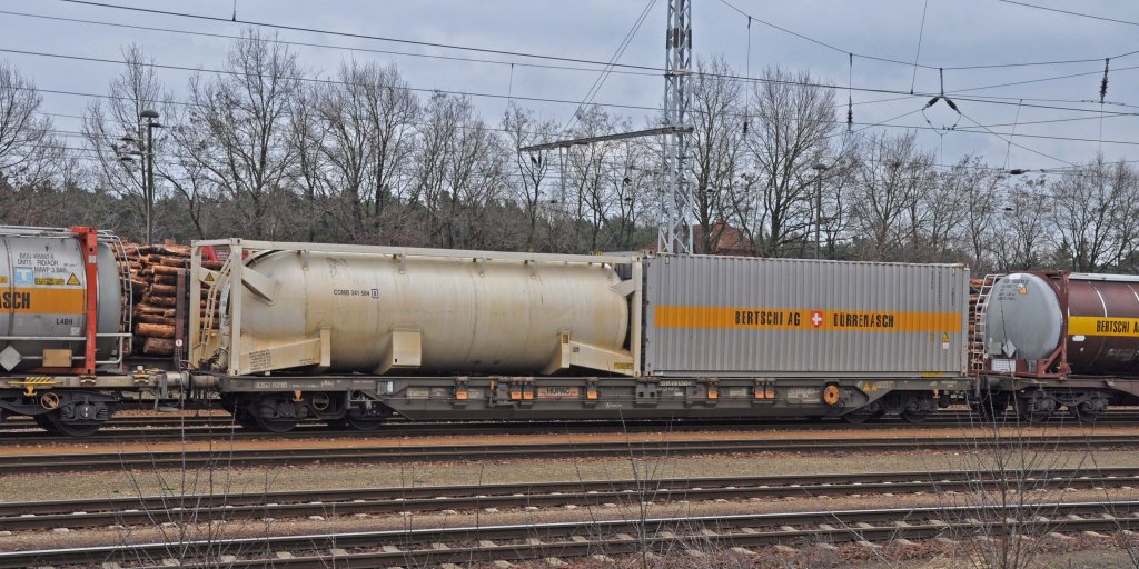 27.03.2010 Ruhland ; ein Sdgnss in einem Containerzug