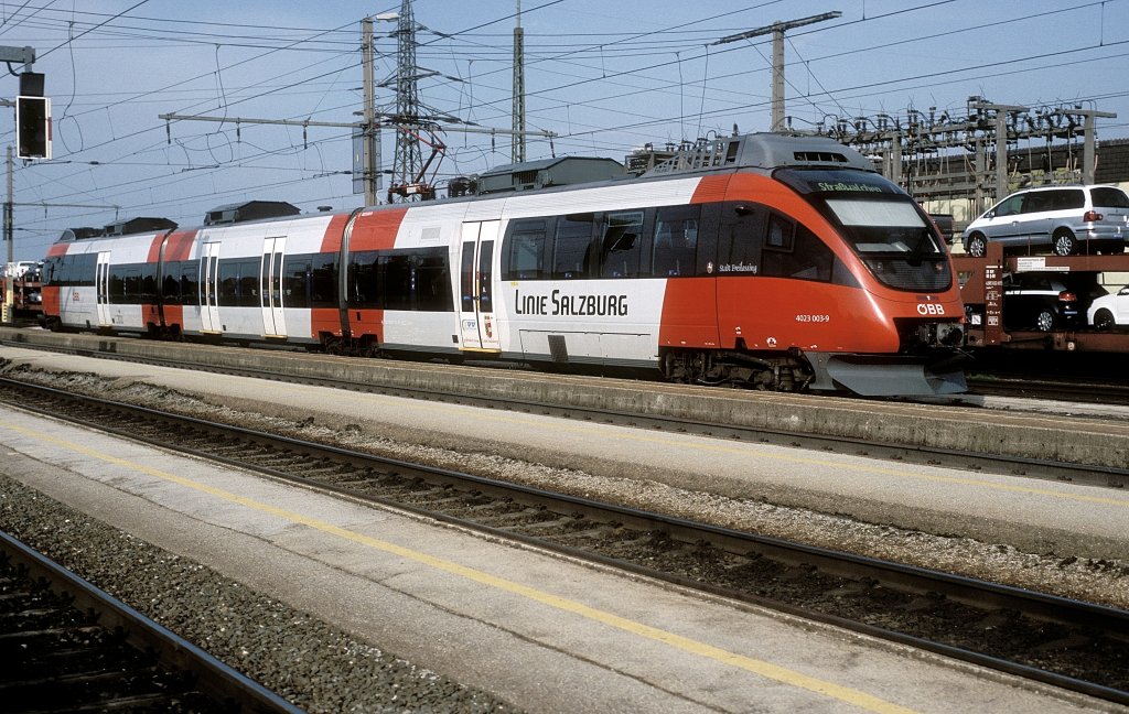  4023 003  Steindorf  bei Strawalchen  24.06.08