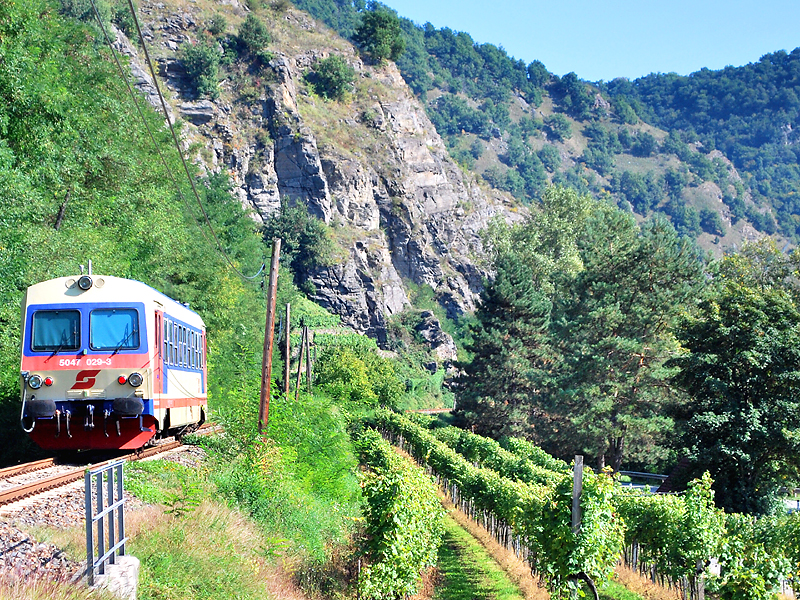 5047 029 fhrt vor der herrlichen Kulisse der Weinberge zwischen Weienkirchen und Drnstein. (21.9.2010)