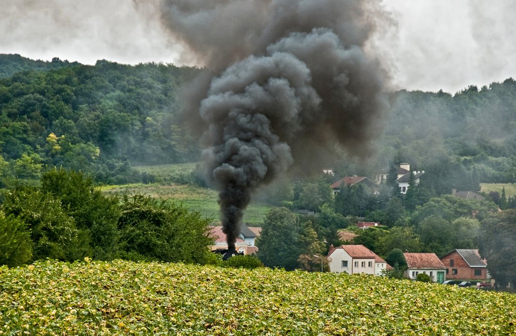 52 100 unter Volldampf, kleine Impression kurz vor dem steilsten Stck an der Landesbahn. Mollmannsdorf, am 15.08.2010.