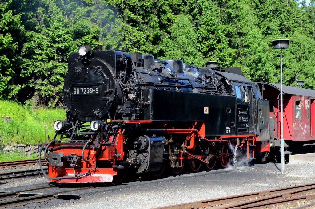 99 7239-9 HSB am 19.06.2013 in Schirke