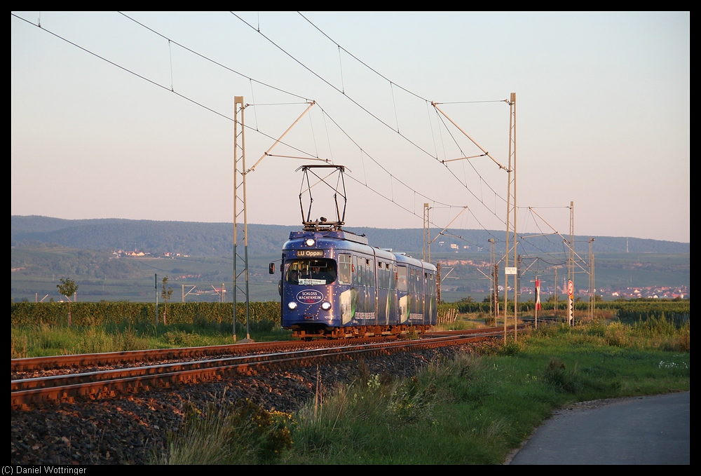 Am 06. September 2010 verlsst der Triebwagen 1015 mit Beiwagen 1055 Bad Drkheimer Gemarkung und fhrt mit miger Geschwindigkeit in Richtung Chemiestadt Ludwigshafen.