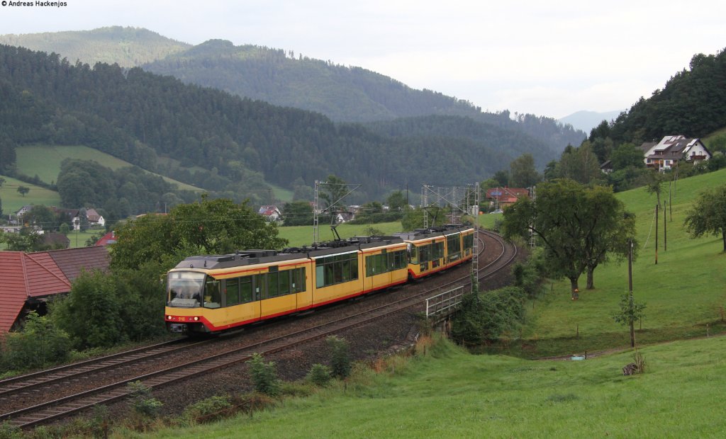  AVG 918 und 919 als DPE 91443 (Karlsruhe Hbf-Konstanz) bei Gutach 25.8.12