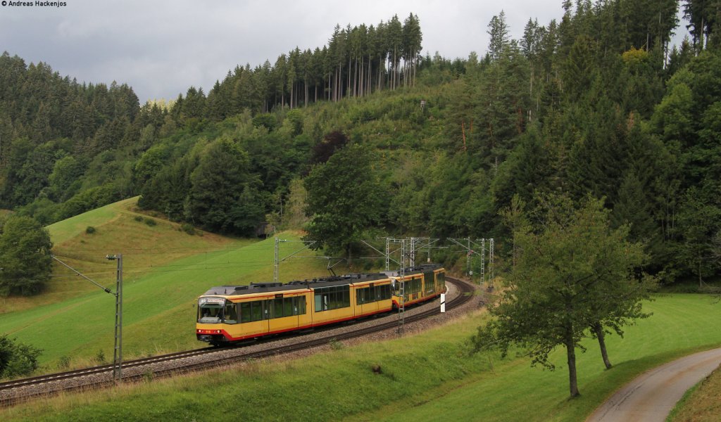  AVG 918 und 919 als DPE 91443 (Karlsruhe Hbf-Konstanz) bei Nubach 25.8.12