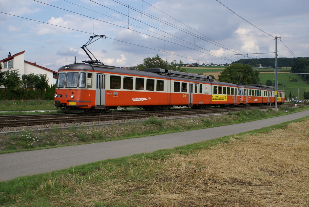 BDe 8/8 4 und BDe 8/8 1 erreichen am 13.8.10 Berikon-Widen.