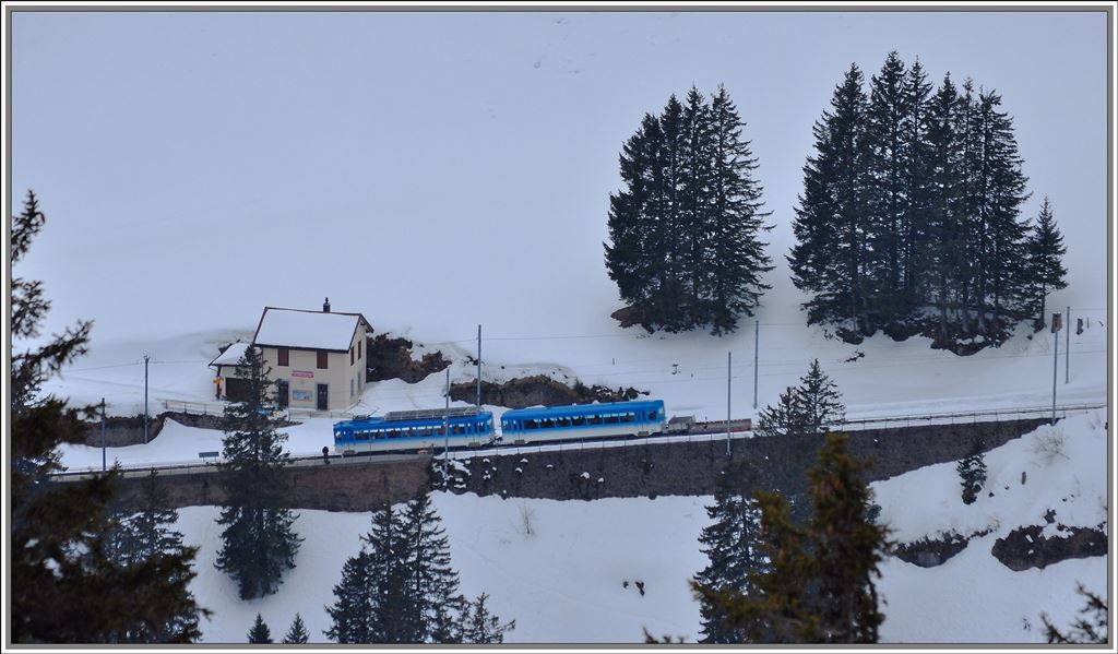 BDhe 2/4 12 aus Arth Goldau hat die Haltestelle Rigi First erreicht. (04.04.2013)