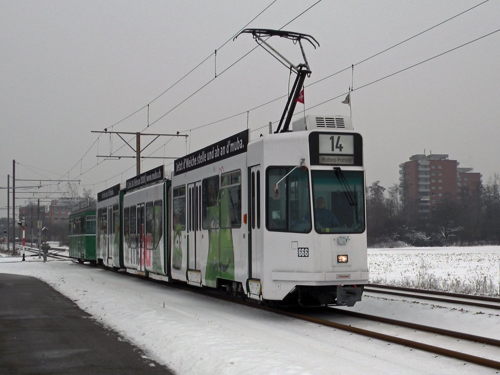 Be 4/6 S mit der Betriebsnummer 666 und Anhnger 1431 auf dem Weg nach Ptatteln. Die Aufnahme stammt vom 11.02.2010.