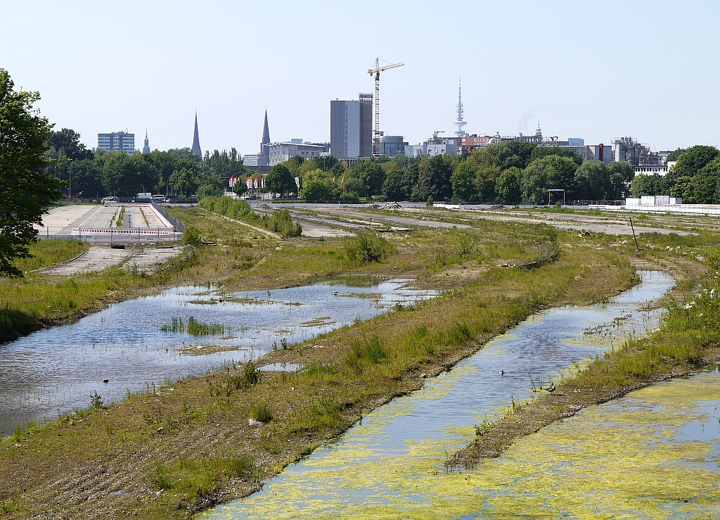 Biotop: so sieht dieser Teil des einst riesigen Gterbahnhofs Hamburg-Rothenburgsort heute aus... 8.6.2013