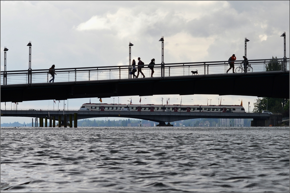 Bodenseehas am Rhein. 

Rheinkilometer 0 im Juni 2013. Diesen verspteten Seehas hatte ich nicht mehr erwartet, daher verzeihe man mir die ungnstige Blende...