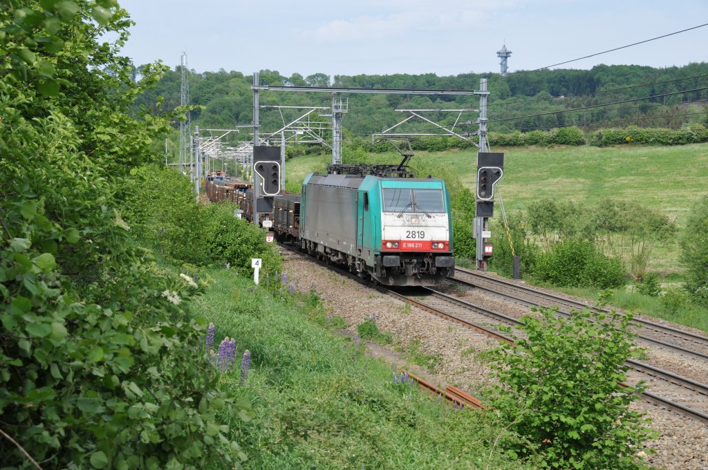 Cobra-Lok 2819 kurz hinter der Blockstelle von Botzelaer auf dem Weg in Richtung Montzen. Im Hintergrund erkennt man den Aussichtsturm auf dem Dreilndereck B/D/NL. Aufgenommen am 08/05/2011.