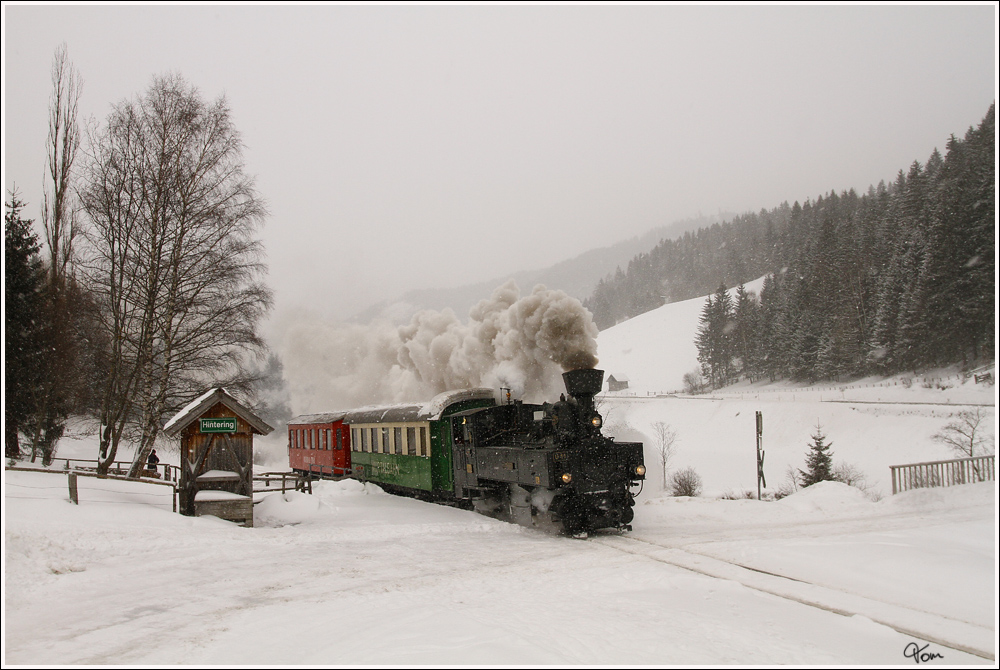 Der nchste Programmpunkt der “The Railway Touring Company” war am 7.2.2012 der  Winterdampf auf der Murtalbahn  - Bespannt mit der U 11  Mauterndorf  (Baujahr 1894) ging es von Murau nach Tamsweg. 
Hintering 7.2.2012 

