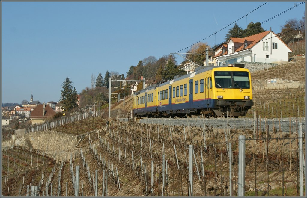 Der  Train des Vignes  in den noch in der Winterruhe weilden Reben bei Chexbres am 24. Januar 2011.