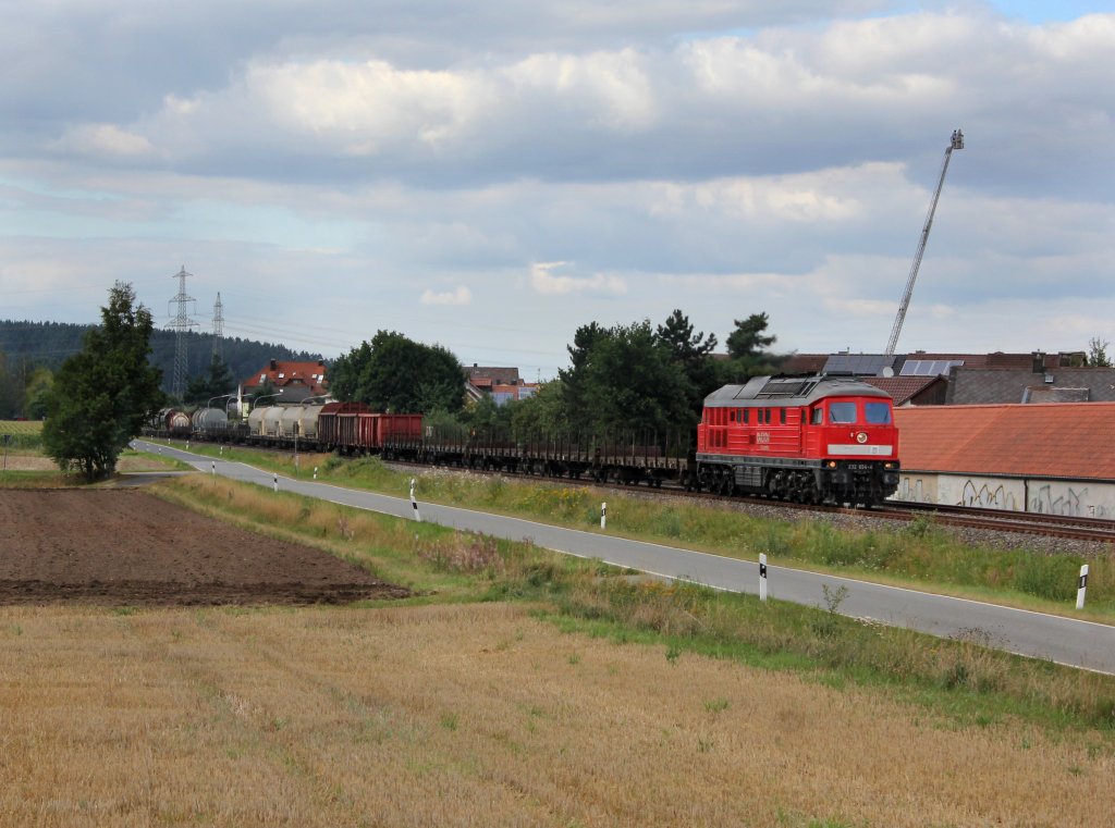 Die 232 654 mit einem Gterzug am 11.08.2012 unterwegs bei Rothenstadt.