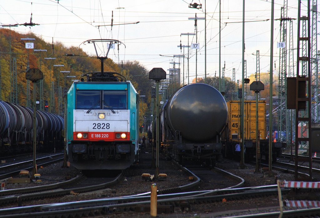 Die Cobra 2828 steht in Aachen-West mit einem Containerzug und wartet auf die Abfahrt nach Antwerpen-Oorderen(B) bei schnem Herbstwetter am 11.11.2012.