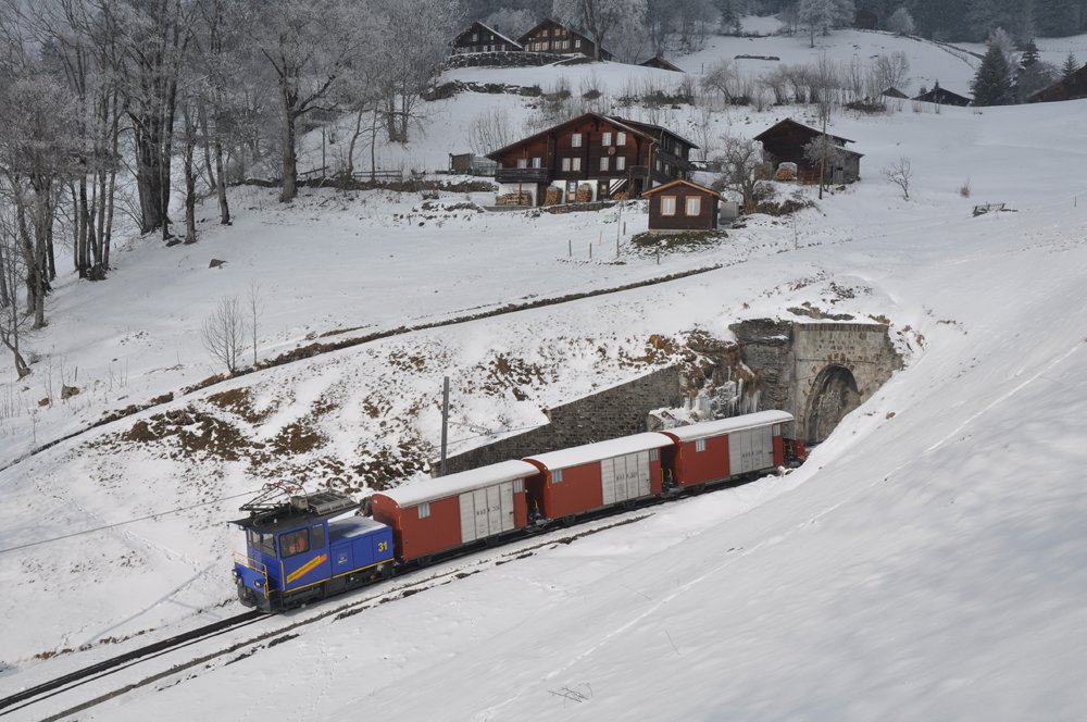 Die He 2/2 31 verlsst den Chertunnel bei Wengwald am 10. Januar 2010 mit den K 306, K 308, K 309 und Kkp 415 als Gterzug nach Lauterbrunnen.