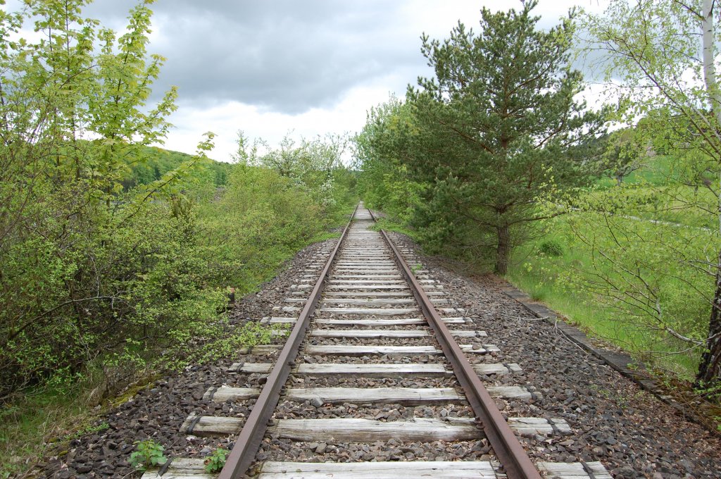 Die wrttembergische Schwarzwaldbahn am 11. Mai 2013 in der Nhe von Ostelsheim.

