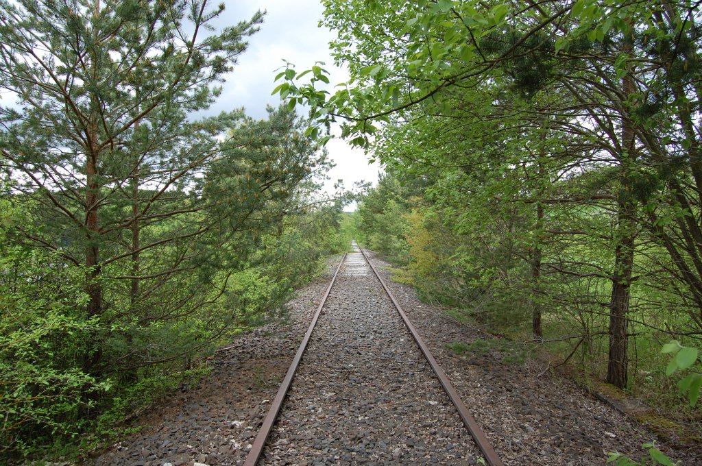 Die wrttembergische Schwarzwaldbahn am 11. Mai 2013 in der Nhe vom Haltepunkt Ostelsheim.

