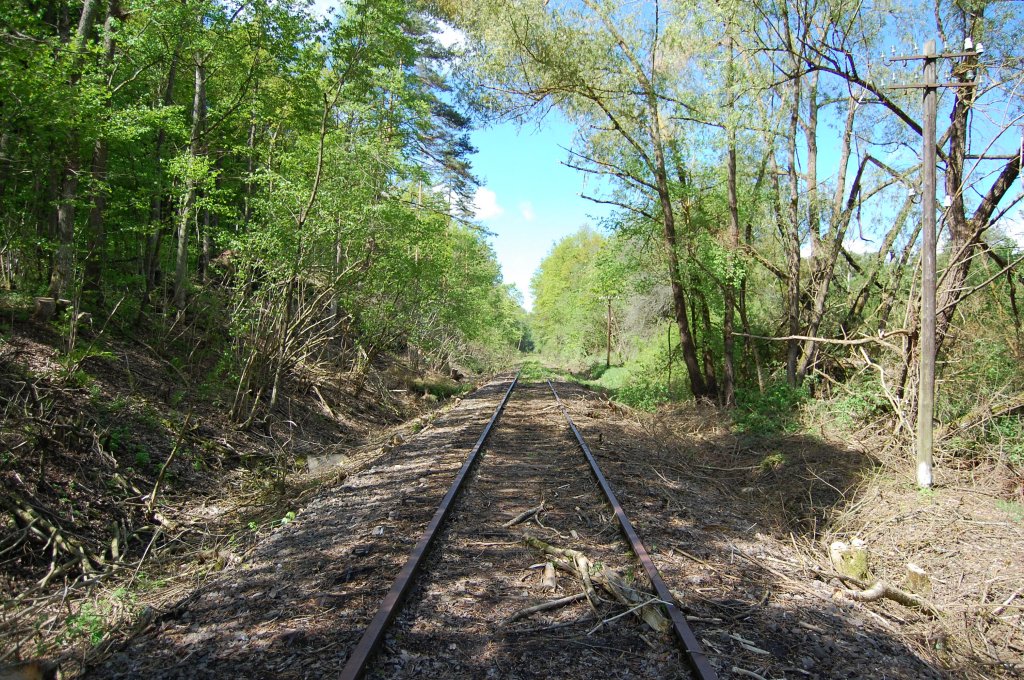 Die wrttembergische Schwarzwaldbahn am 18. Mai 2013 zwischen Ostelsheim und Althengstett.

