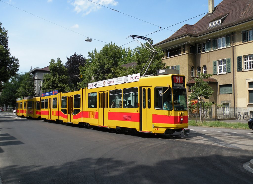 Doppeltraktion mit dem Be 4/8 239 und dem Be 4/6 227 auf der Linie 11 fahren zur Haltestelle Denkmal. Die Aufnahme stammt vom 02.07.2013.