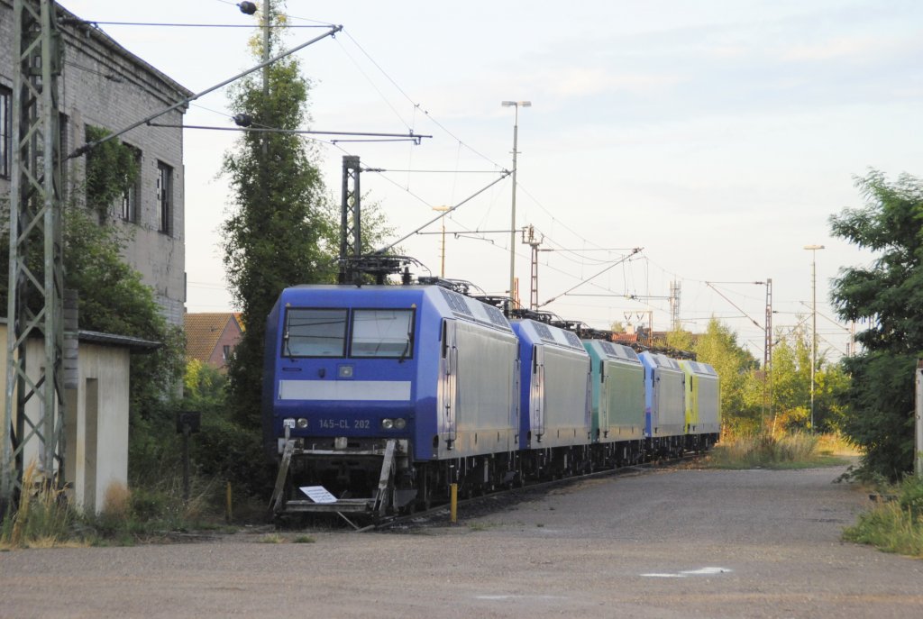 Ein ganzer Lokzug privater 145 er,im Ex-BW Lehrte am 03.08.2010. Ich habe die erste  hier die 145 CL 002 und die letzte fotografiert.