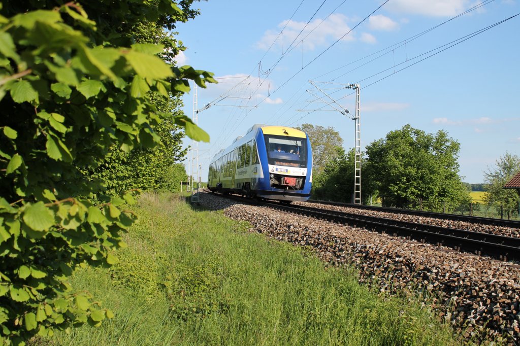 Ein LINT 41 in voller Fahrt am 28.05.2013 bei Eitensheim in Richtung Eichsttt.