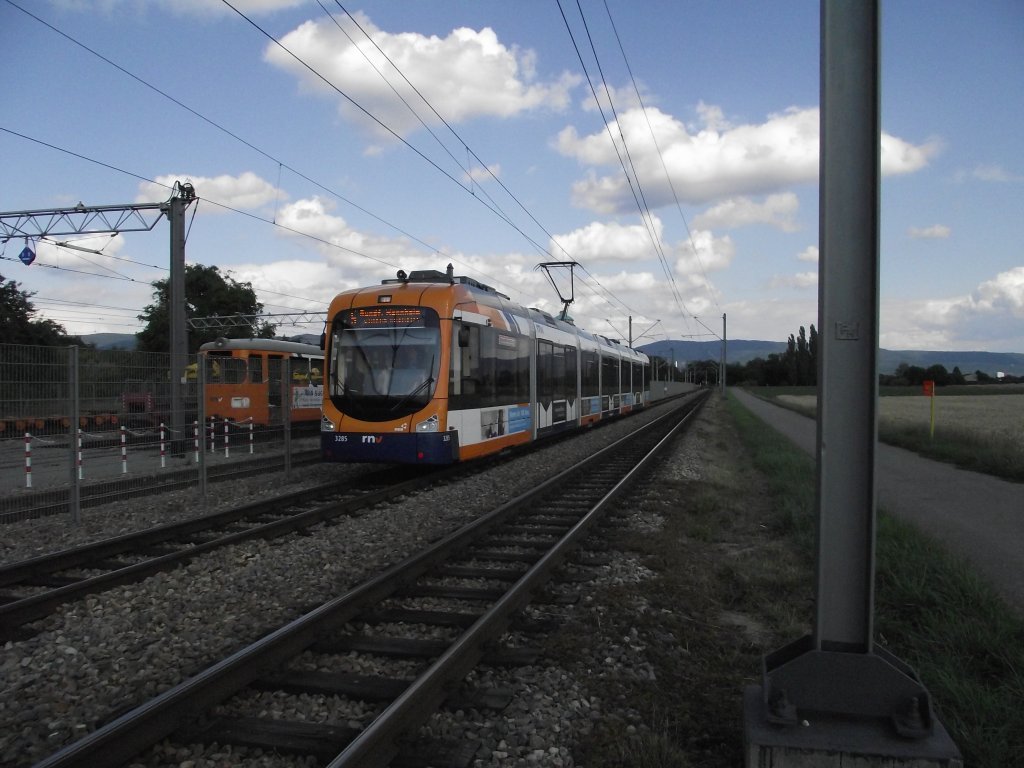 Eine RNV Variobahn (RNV8) in Edingen am 01.07.11