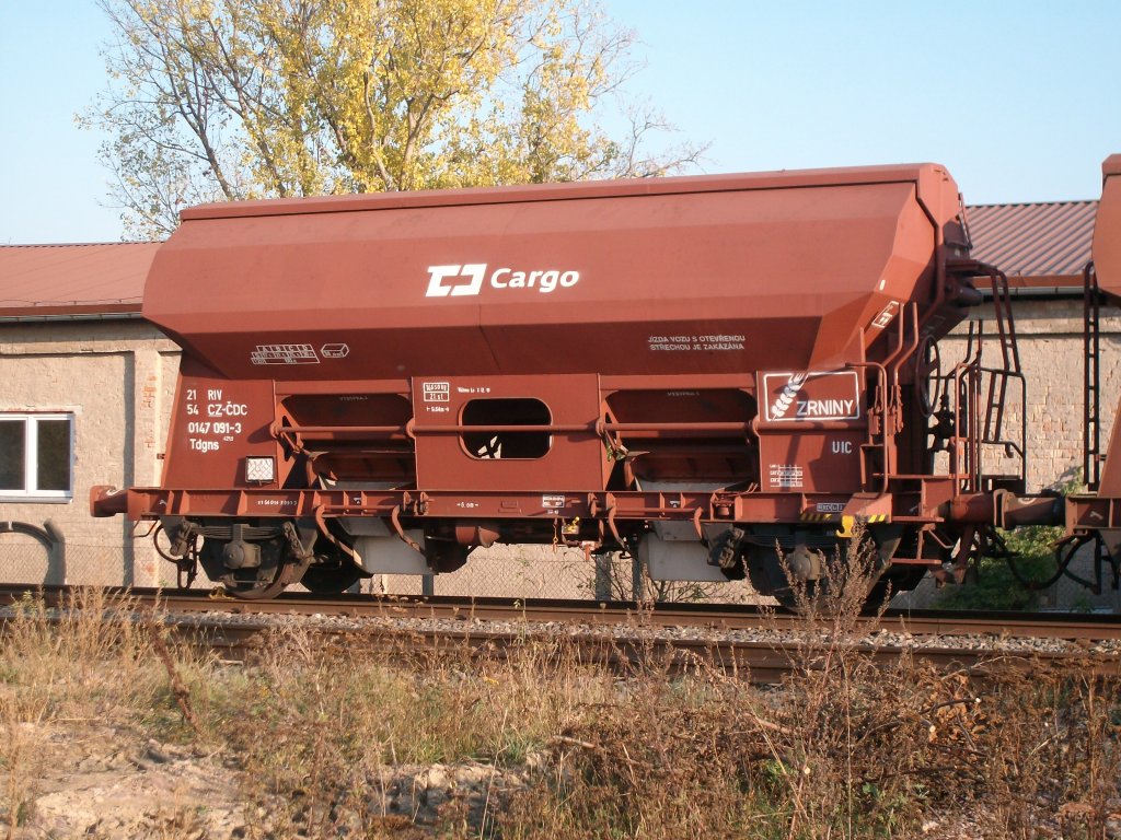  Einer von 30 2-achser tschechischen Getreidewagen am 2.11.2011 in Bad Langensalza Ost.Wagennummer: 21 54 0147 091-3