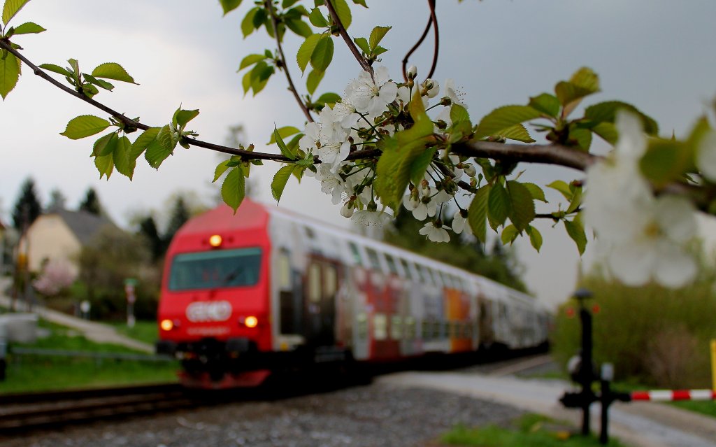 Es blht so grn wenn Liebochs Blten blhen ,..... oder wie war das ??  R8567 geschoben von Dh 1500.1 bei der einfahrt in den Bahnhof Lieboch der am westlichen Bahnhofskopf noch einen alten  Bimmelschranken  hat . 23.04.2013