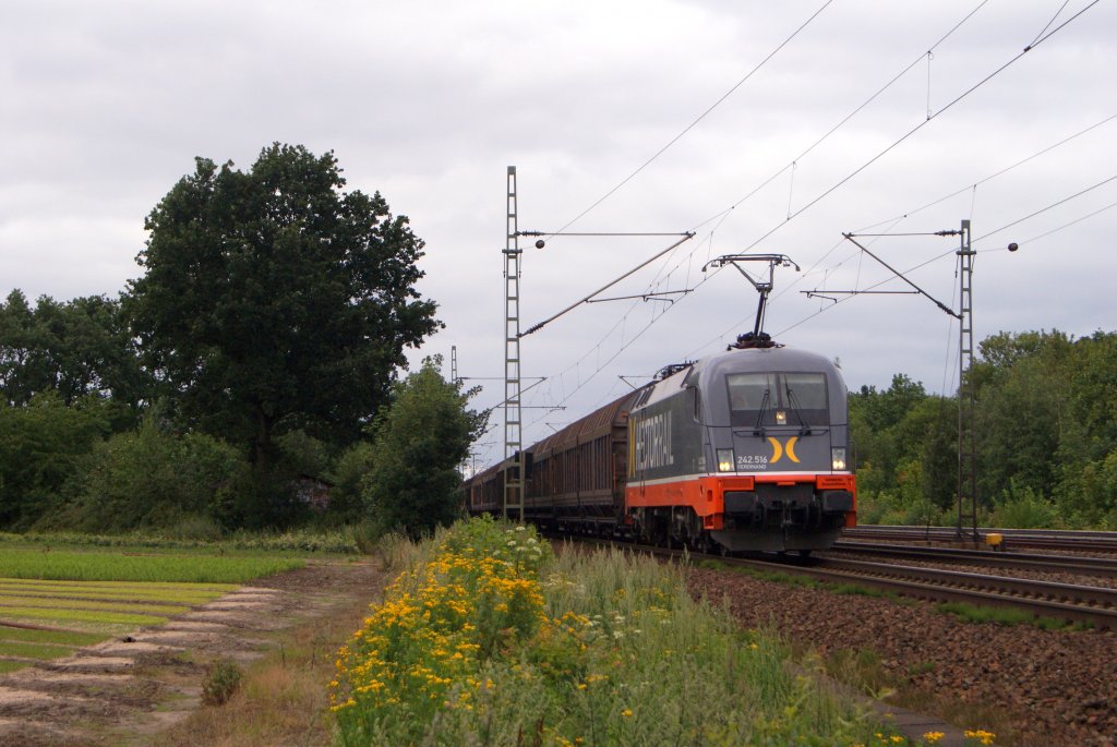 Hectorrail 242.516  Ferdinand  mit einem Schiebewandzug in Halstenbek am 29.07.2011