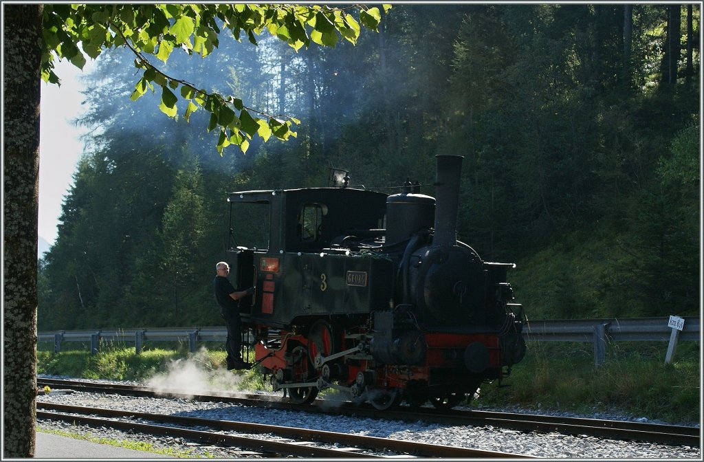 Hier nun, auf vielfachen Wunsch, der  Georg  in Farbe...
Enstation Seespitz, am 16.09.2011 