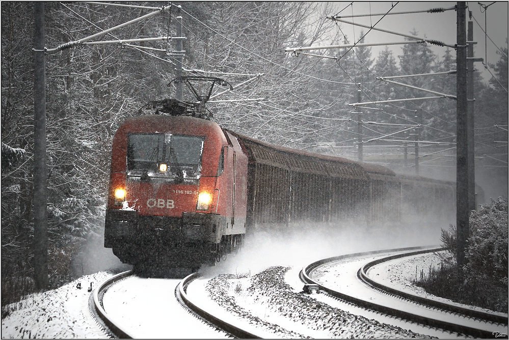 Im dichtem Schneetreiben fhrt 1116 182 mit einem Papierzug durch die Murwlder nahe Zeltweg.
19.12.2009