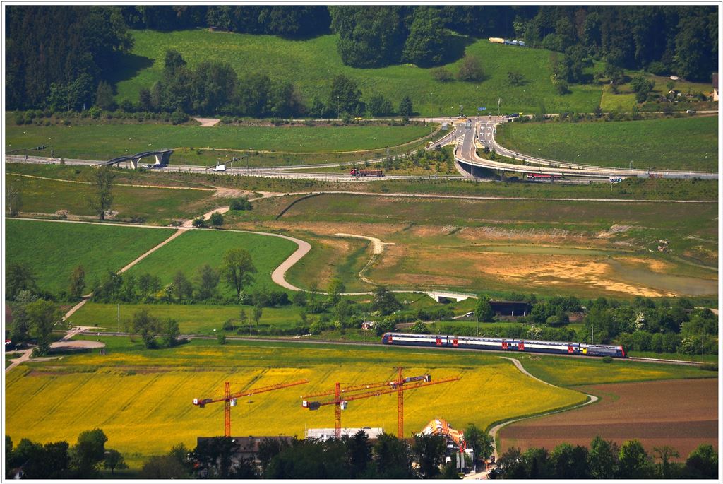 Kurz vor Bonstetten-Wettswil passiert die S9 ein blhendes Rapsfeld. Aufgenommen vom Aussichtsturm auf dem Uetliberg. (27.05.2013)